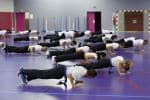 11-Cours-de-Krav-Maga-septembre-2019-Echauffement-pompes-2