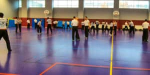 Technique Krav Maga pendant un cours