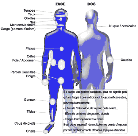Les zones sensibles du corps humain