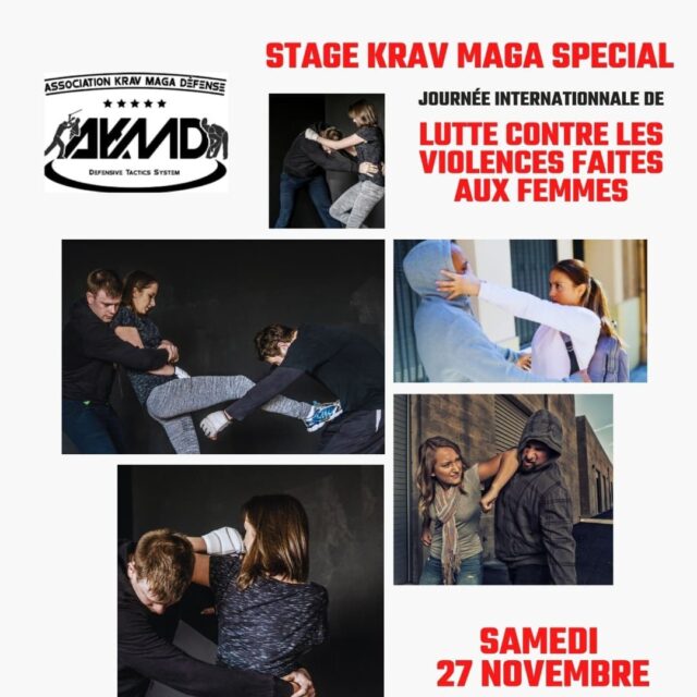 Stage spécifique Journée Internationale de lutte contre les violences faites aux femmes