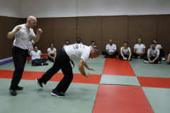 33-Cours-de-Krav-Maga-septembre-2019-Agresseur-qui-pousse-dans-le-dos-avec-roulade-1