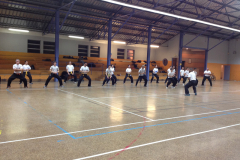 cours-debutant-krav-maga-mars-2014-005