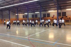 cours-debutant-krav-maga-mars-2014-006