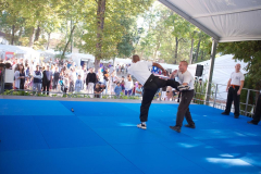 demo-krav-maga-courbevoie-vitaville-2012-002