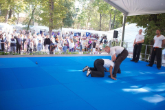 demo-krav-maga-courbevoie-vitaville-2012-003