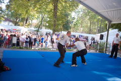 demo-krav-maga-courbevoie-vitaville-2012-004