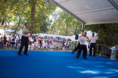 demo-krav-maga-courbevoie-vitaville-2012-005