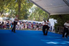 demo-krav-maga-courbevoie-vitaville-2012-006