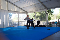 demo-krav-maga-courbevoie-vitaville-2012-008