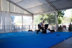 demo-krav-maga-courbevoie-vitaville-2012-009