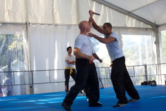 demo-krav-maga-courbevoie-vitaville-2012-010