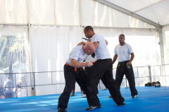 demo-krav-maga-courbevoie-vitaville-2012-011