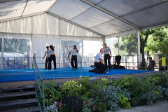 demo-krav-maga-courbevoie-vitaville-2012-014