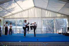 demo-krav-maga-courbevoie-vitaville-2012-015