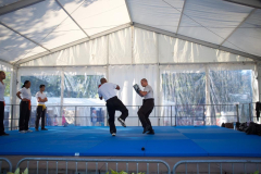 demo-krav-maga-courbevoie-vitaville-2012-016