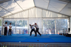 demo-krav-maga-courbevoie-vitaville-2012-017