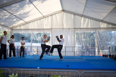 demo-krav-maga-courbevoie-vitaville-2012-018