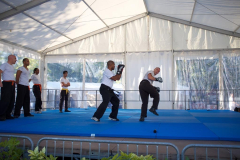 demo-krav-maga-courbevoie-vitaville-2012-019