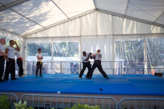 demo-krav-maga-courbevoie-vitaville-2012-021