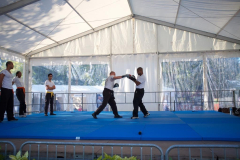 demo-krav-maga-courbevoie-vitaville-2012-022