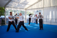 demo-krav-maga-courbevoie-vitaville-2012-023