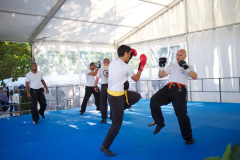 demo-krav-maga-courbevoie-vitaville-2012-024