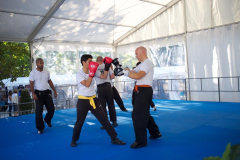 demo-krav-maga-courbevoie-vitaville-2012-025