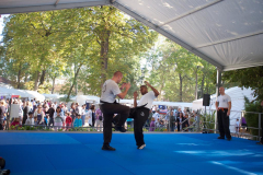 demo-krav-maga-courbevoie-vitaville-2012-027