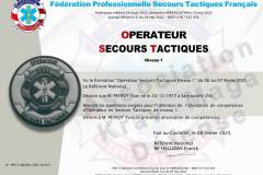 diplôme opérateur secours tactiques