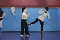 stage-krav-maga-self-defense-courbevoie-la-garenne-colombes-13-coup-de-pied-circulaire