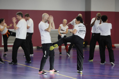 stage-krav-maga-self-defense-courbevoie-la-garenne-colombes-14-coup-de-pied-lowkick