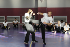 stage-krav-maga-self-defense-courbevoie-la-garenne-colombes-15-coup-de-pied-circulaire-moyen