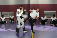 stage-krav-maga-self-defense-courbevoie-la-garenne-colombes-16-coup-de-pied-poids-de-corps