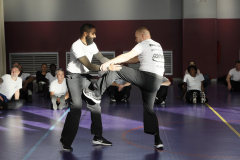stage-krav-maga-self-defense-courbevoie-la-garenne-colombes-20-coup-de-pied-direct-parties-genitales