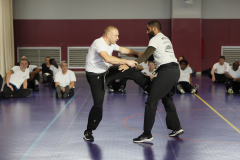 stage-krav-maga-self-defense-courbevoie-la-garenne-colombes-21-coup-de-pied-avec-saisie-bras