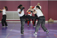 stage-krav-maga-self-defense-courbevoie-la-garenne-colombes-27-combat-souple-coup-de-pied