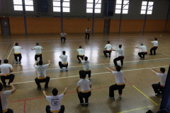 stage-krav-maga-mai-2014-00603