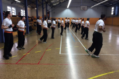 stage-krav-maga-mai-2014-00605