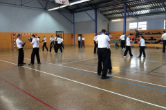 stage-krav-maga-mai-2014-00611
