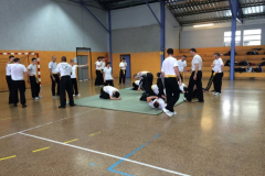 stage-krav-maga-mai-2014-00614