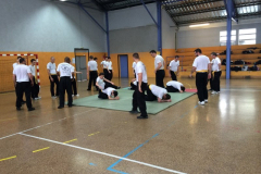 stage-krav-maga-mai-2014-00615