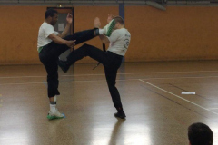 stage-krav-maga-mai-2014-00618