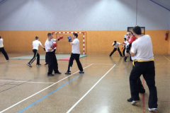 stage-krav-maga-mai-2014-00620