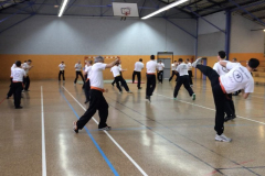 stage-krav-maga-mai-2014-00625