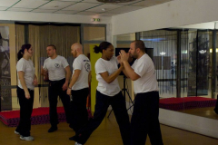 stage-krav-maga-mars-201200127