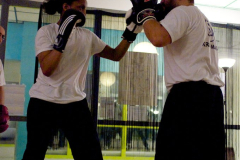 stage-krav-maga-mars-201200156