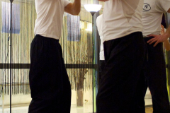 stage-krav-maga-mars-201200223
