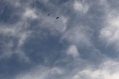 stage-krav-maga-exterieur-saut-parachute-juin-2015-00905