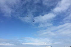 stage-krav-maga-exterieur-saut-parachute-juin-2015-00919