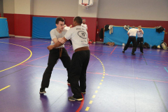 stage-krav-maga-janvier-2018-4798